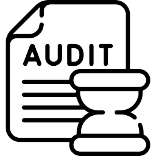 Internal Audit / Scrutiny
